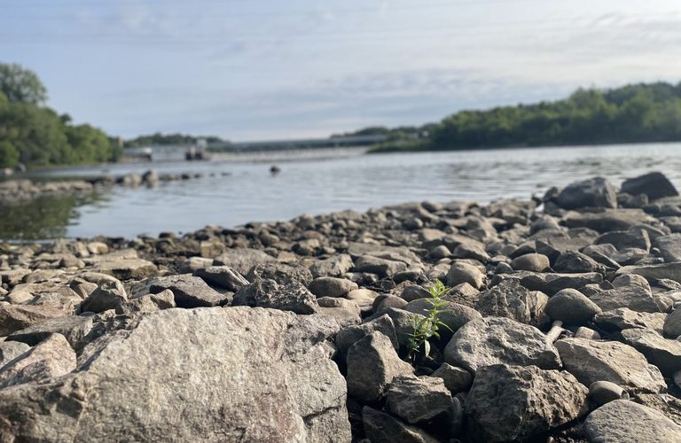 Minnesota Drought Conditions Ease Slightly As Fall Rains Arrive