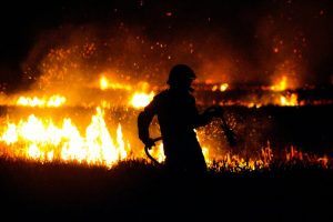 Moonshine Fire Near Wheatland Shows Strong Containment Gains Evacuations Lifted