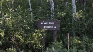 Moose Wilson Road In Grand Teton National Park Closed Through Mid November