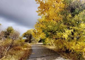 Morad Park Closed To Dogs Saturday For River Restoration Volunteer Day