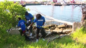 More Than 500 Volunteers Clean Up Sarasota County Beaches In Annual Coastal Even