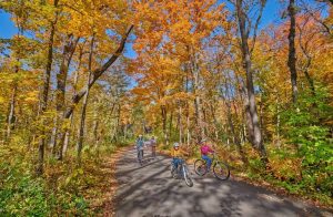 Morton Arboretum Monitors El Ni O Impact On Chicago Area Fall Colors