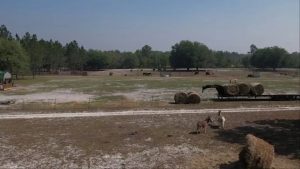 Nassau County Adopts Vision 2050 Plan To Guide Growth And Preserve Rural Charact