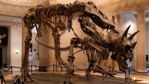 Natural History Museum Gives 5 Discount To Lucas Museum Ticket Holders In Exposi