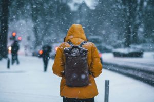 Nature Signs Suggest A Tough Winter Ahead For Minnesota Residents