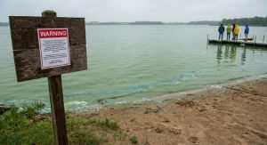 Nebraska Issues Health Alerts For Toxic Blue Green Algae At Big Indian And Cub C