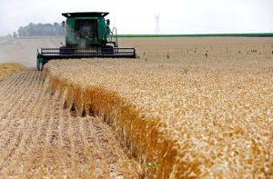 Nebraska Regulator Closes Complaint Against The Andersons Fines 5 000
