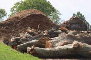 New Haven Reopens Lighthouse Point Park After Storm Damage