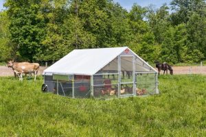 New Holland Company Launches Solar Powered Mobile Chicken Coops For Lancaster Fa