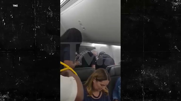 New Jersey Travelers Restrain Violent Passenger On American Airlines Flight To N