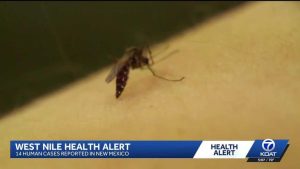 New Mexico Health Officials Advise Residents On West Nile Virus Prevention