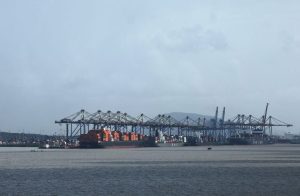 New Zealand Parliament Approves Free Trade Deal With India Cutting Tariffs On 95