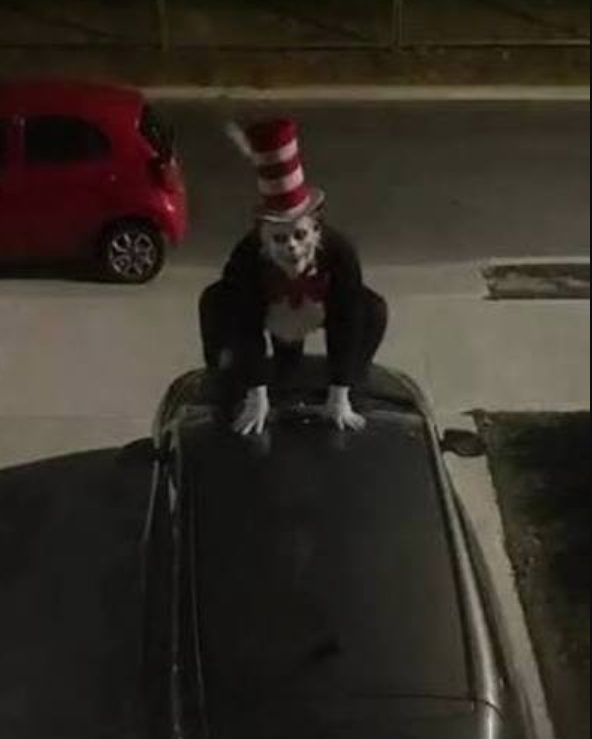Nicholasville Minor Charged After Threatening Cat In The Hat Posts Spread In Jes