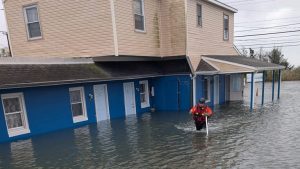 Nine Rescued Dog Saved As Floodwaters Inundate Two Egg Harbor Township Motels