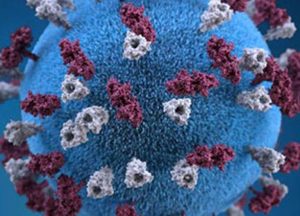 North Carolina Kindergarten Vaccination Rates Dip Raising Measles Concerns