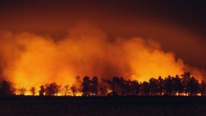North Carolina Ranks Second In U S For Buildings Directly Exposed To Wildfire