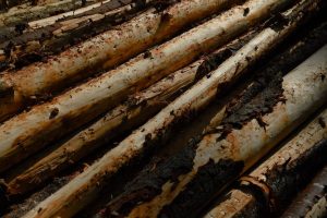 Oregon Timber Groups Move To Intervene In Lawsuit Targeting Blm Forest Plan