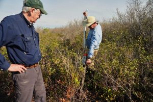Pantheon Launches Carbon Credit Funded Peatland Restoration In North Carolina