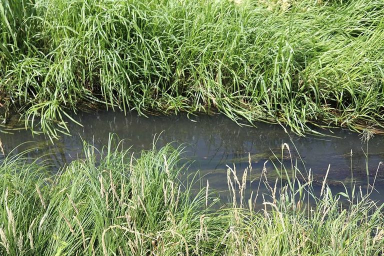 Paris Uncovers Historic Bi Vre River To Cool City And Boost Biodiversity