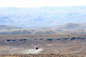 Park County Launches Costly Spray Effort To Halt Invasive Ventenata Grass