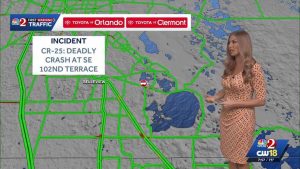 Pedestrian Killed In Crash On Cr 25 Near Se 102Nd Terrace In Belleview