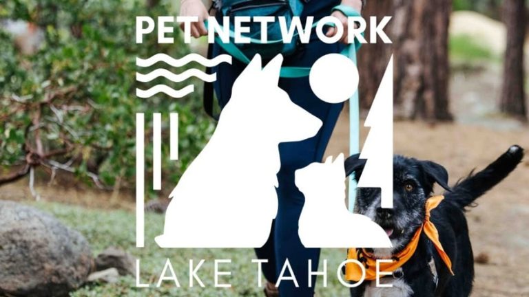 Pet Network Humane Society Uncovers Suspected 2 5 Million Fraud In Incline Villa