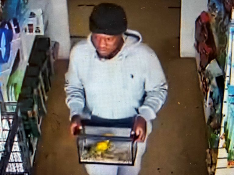 Pet Store In Greenacres Reports Theft Of Baby Sun Conure And Snake