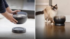 Petsafe Launches Cordless Hydrosphere Fountain For Easier Pet Hydration