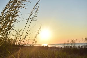 Lewis Ocean Bay Heritage Preserve — Myrtle Beach