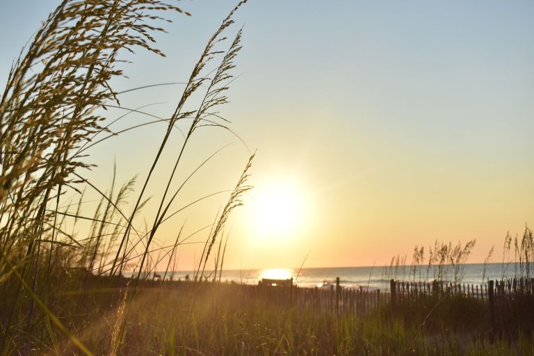 Lewis Ocean Bay Heritage Preserve — Myrtle Beach