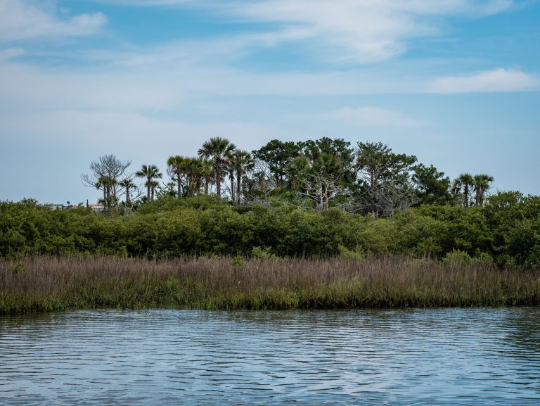 North Fork St. Lucie River Blueway Paddling Trail — Port St Lucie