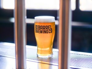 Noble Rey Brewing Co. — Dallas