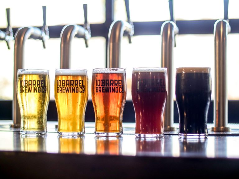 Ponysaurus Brewing Co. — Raleigh
