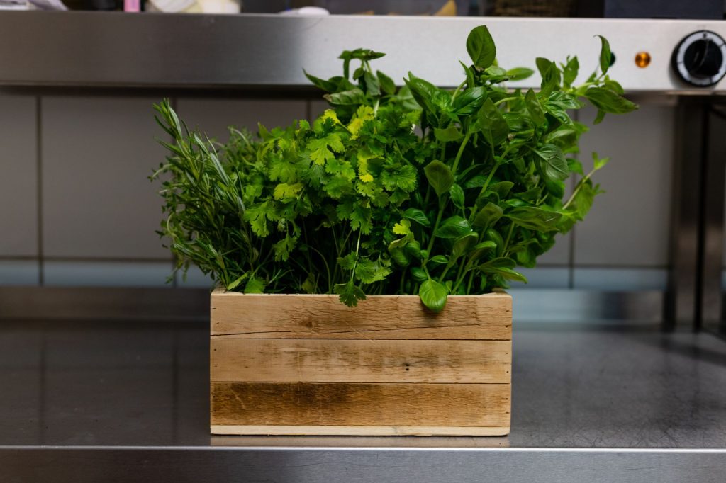 The Herb Box — Scottsdale