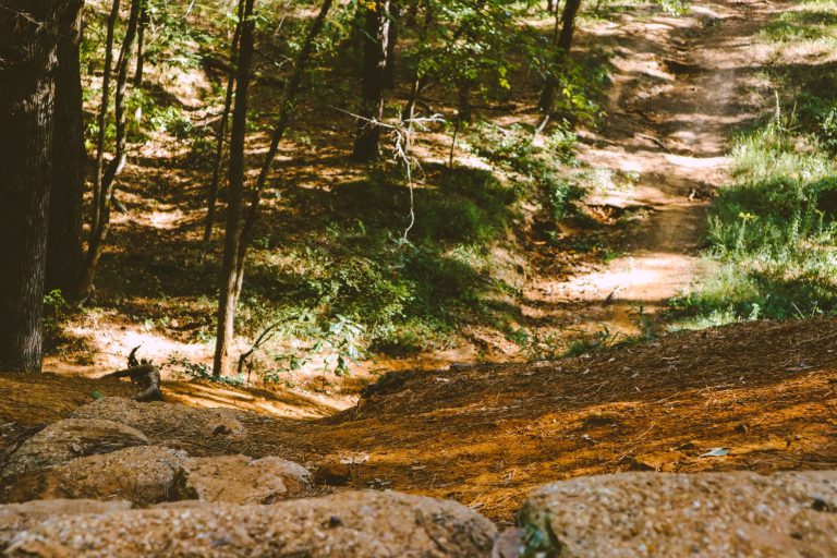 Coates Bluff Nature Trail — Shreveport