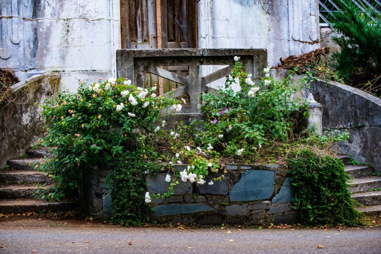 Stonewall Farm & Gardens — Fayetteville