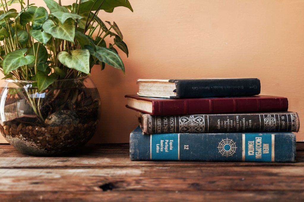 Brixen Ivy Books — Salt Lake City