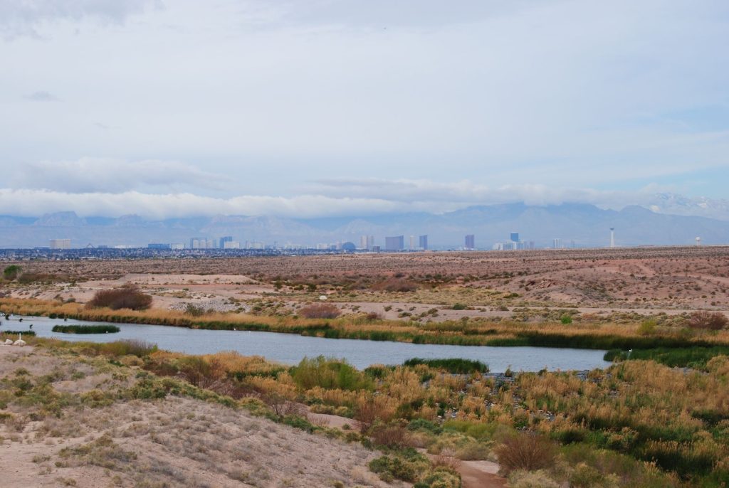 Black Mountain Trail (Anthem Area) — Henderson