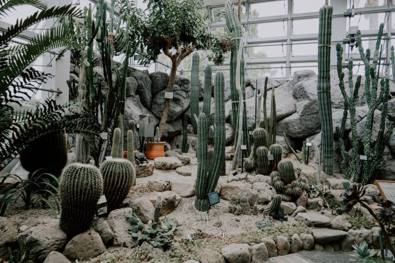 Ethel M Chocolates Factory & Botanical Cactus Garden — Enterprise