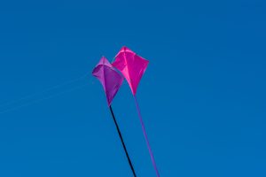 Killer Kites — Fargo