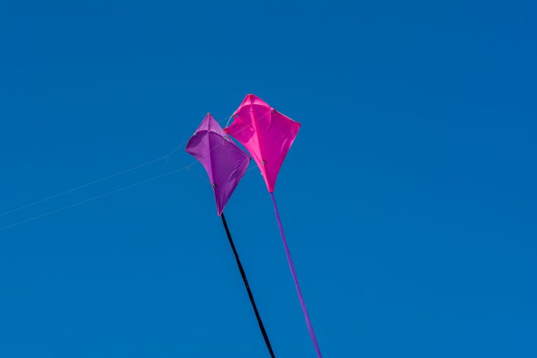 Killer Kites — Fargo