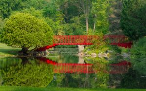 Centennial Park — Midland