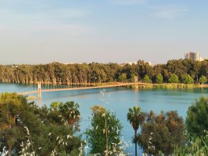 Naaman Forest Regional Park — Garland