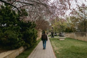Gladys Harrington Library Sculpture Garden & Public Art Walk — Plano