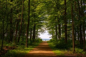 Bayfront Connector Trail — Erie