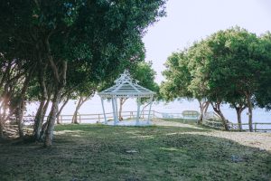 Seaside Park Bandshell & Great Lawn — Bridgeport