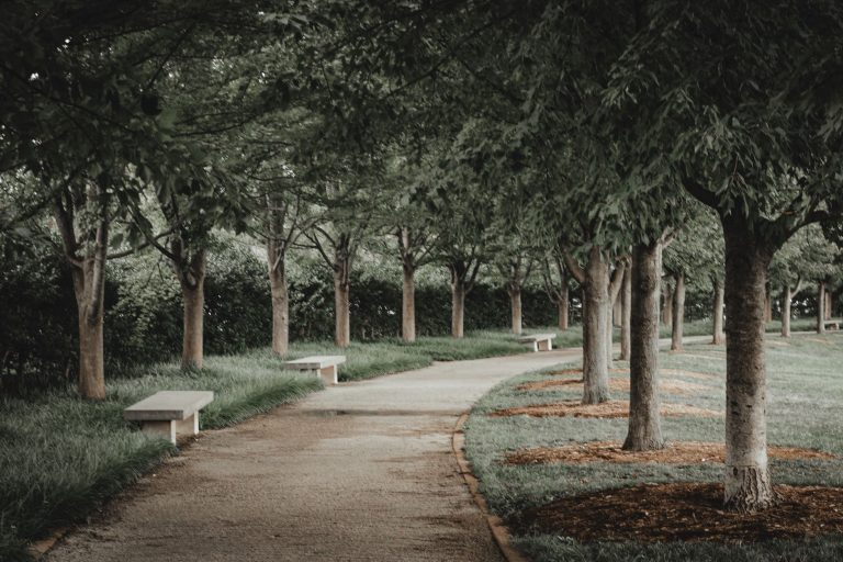 Lakeridge Parkway Linear Park & Trail – DeSoto — Desoto