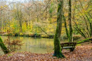 Sandy Lakes Eco Park — Lewisville