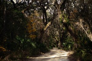 Timucuan Trail at Fort George Island Cultural State Park — Jacksonville