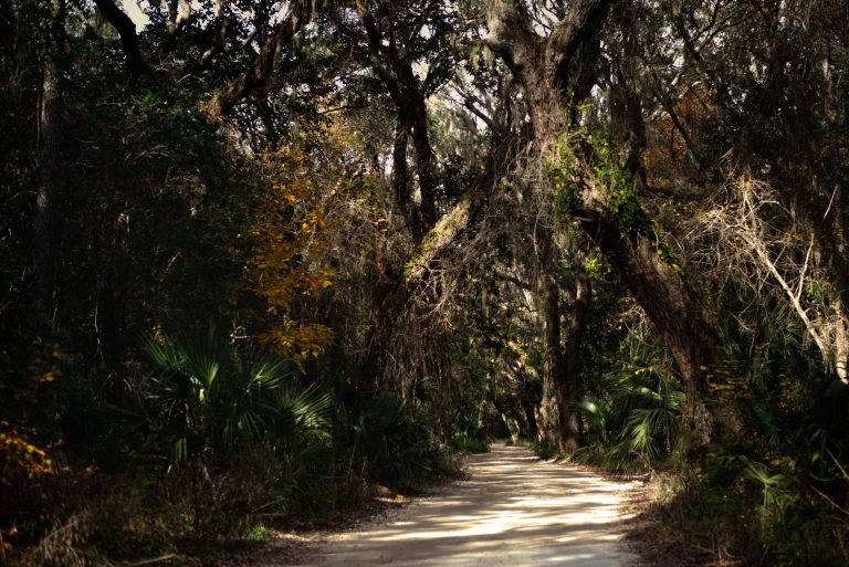 Timucuan Trail at Fort George Island Cultural State Park — Jacksonville